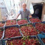 Kilosu 40 tl isci yevmiyesini bile karsilamiyor 6NNhesps